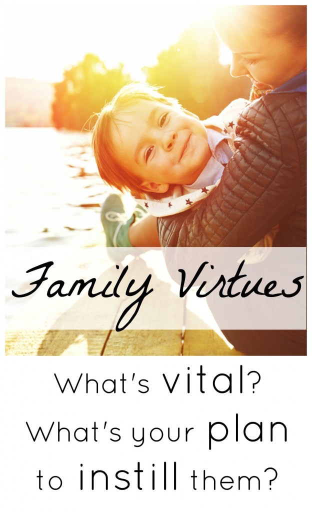 Family Virtues New Pin