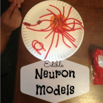 Edible Neuron Models 