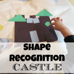 Shape Recognition Castle