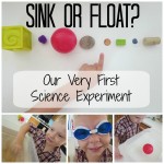 Sink or Float: Our Very First Science Experiment for Preschoolers