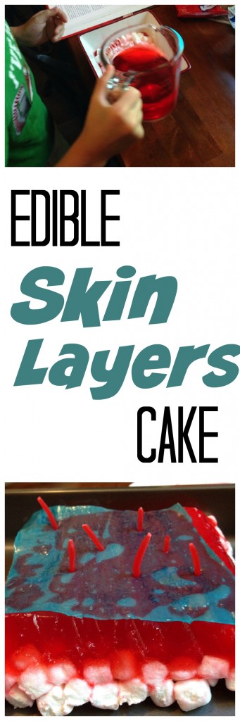 skin layers cake