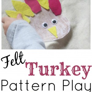 Felt Turkey Pattern Play S