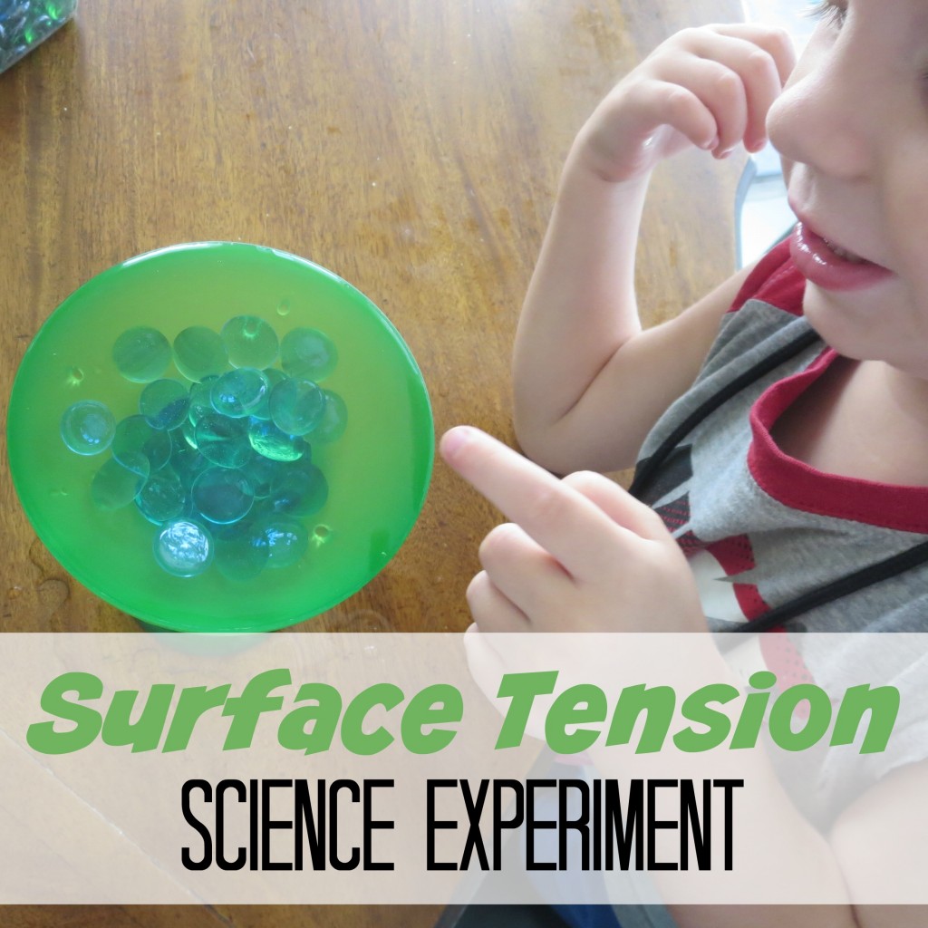 Surface Tension Science Experiment S