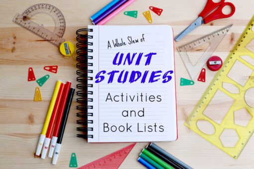 Unit Studies: Activities and Book Lists » My Mundane and Miraculous Life