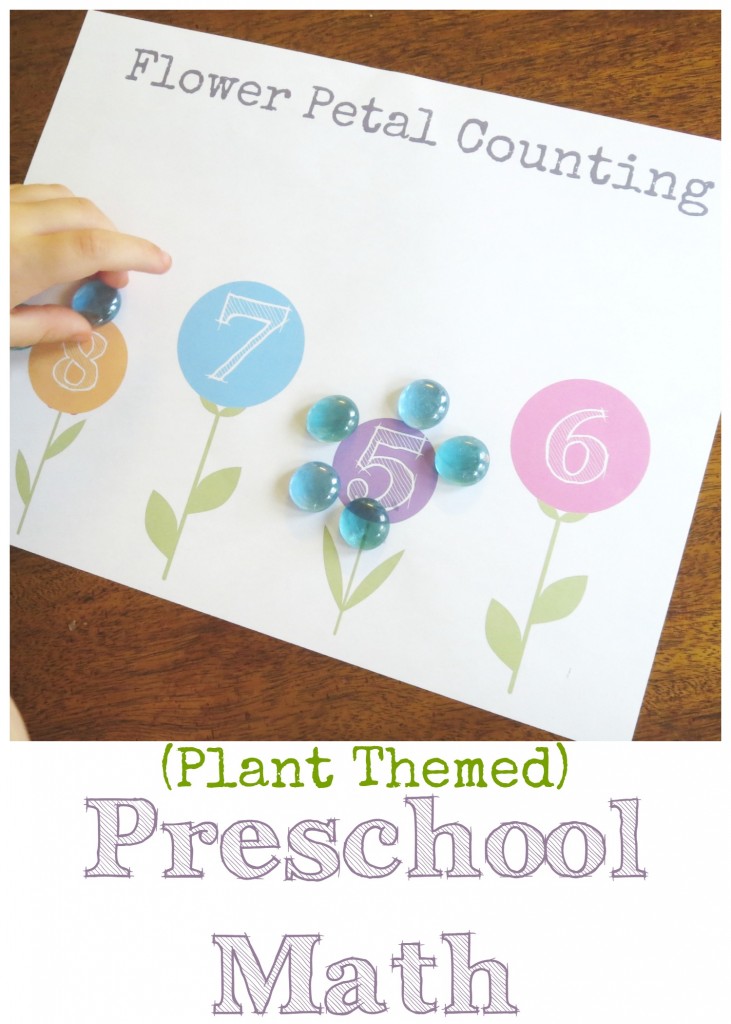 Plant themed preschool math