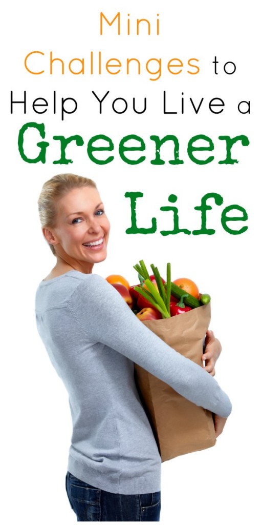 How to Live a Greener Life
