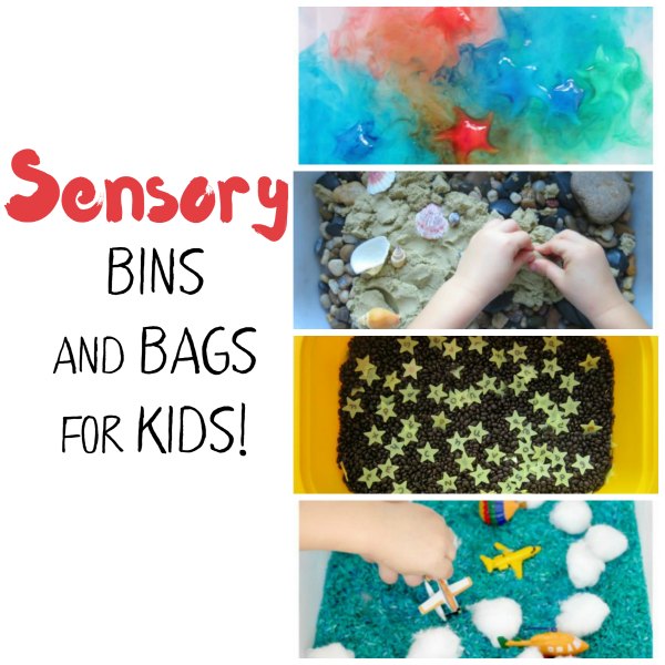 Sensory Bins and Bags for Kids SQ